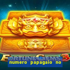 numero papagaio no jogo do bicho